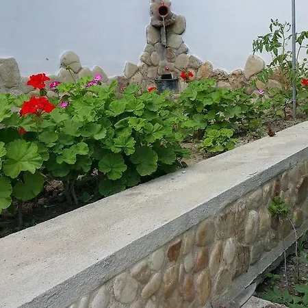 Plamena Varna
