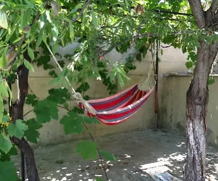 Plamena Varna